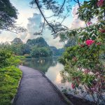 Path Along Swan Lake Botanical Gardens Singapore